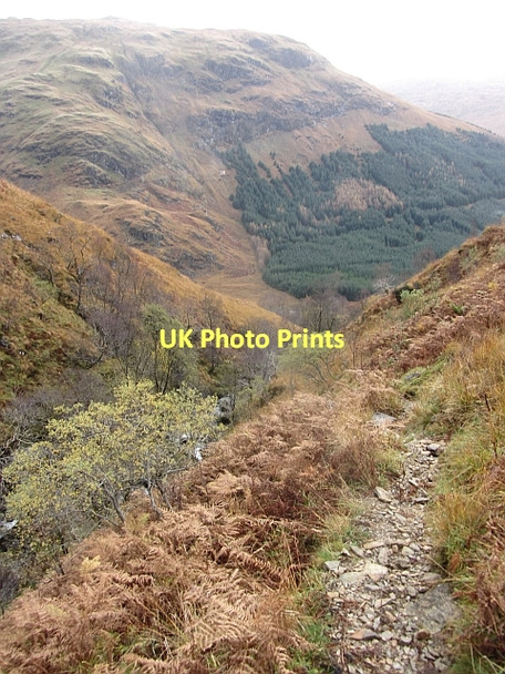 Photo 6"x4" Path, Allt na Faing Allt a Mhuilinn c2011