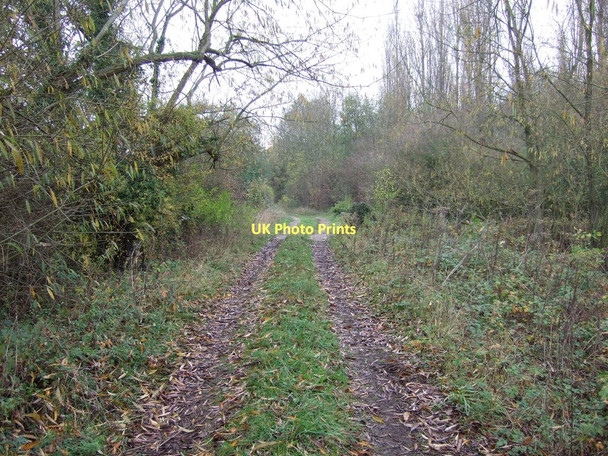 Photo 6"x4" Bridleway towards Broomfield Lane Mattersey Thorpe\/SK6790 c2011