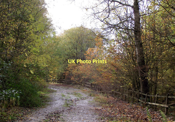 Photo 6"x4" Dismantled railway course in Baggeridge Country Park, Sedgley Sedgley c2011