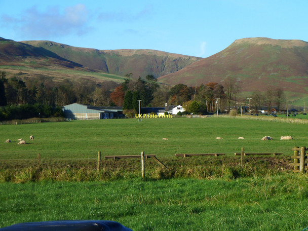 Photo 6"x4" Newton Farm Ericstane c2011