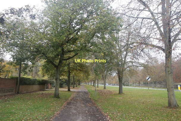 Photo 6"x4" Byway through the trees Henley-on-Thames c2011