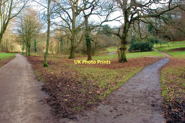 Photo 6"x4" Yeovil: Footpaths in Ninesprings Yeovil c2010