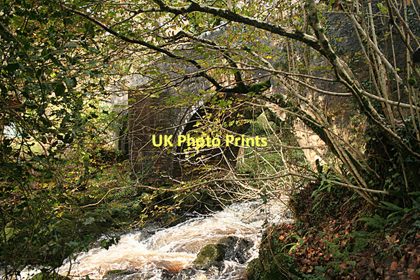 Photo 6"x4" Harford: the Erme at Harford Bridge Harford\/SX6359 c2011