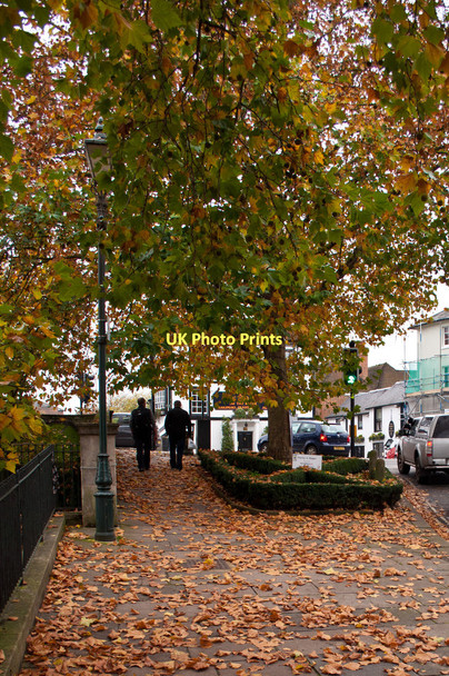 Photo 6"x4" Autumn leaves on Thameside Henley-on-Thames c2011