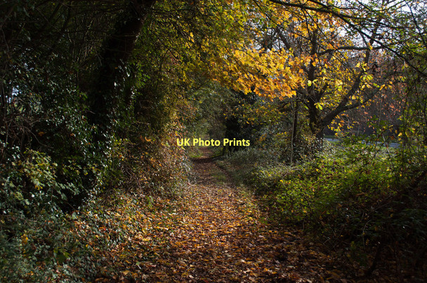 Photo 6"x4" A footpath which runs parallel to the A4130 at Bix Bix c2011