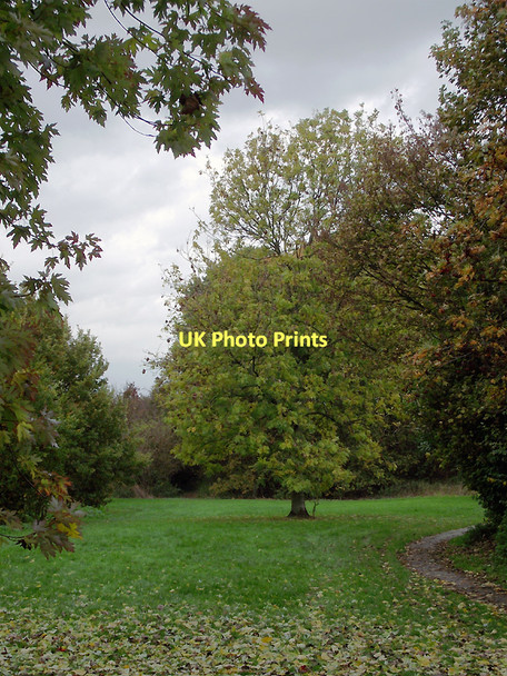 Photo 6"x4" Woodlands Walk in Penn, Wolverhampton Sedgley c2011 P1