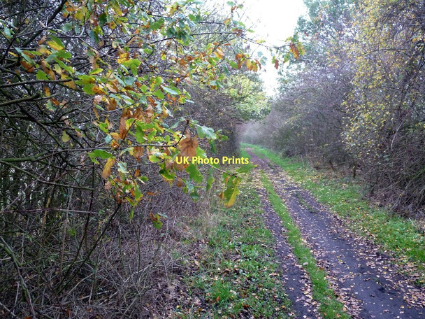 Photo 6"x4" Trans Pennine Trail in the Dearne Valley  Mexborough c2011