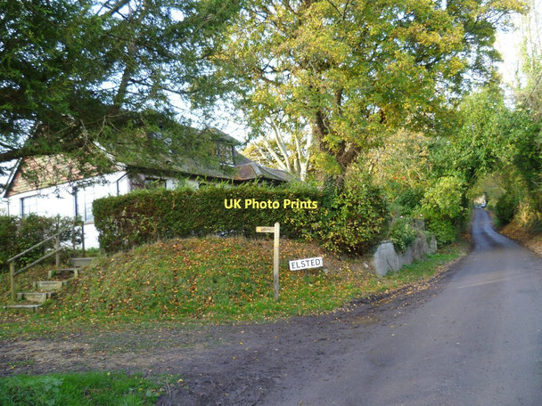 Photo 6"x4" The road into Elsted from the south Elsted c2011