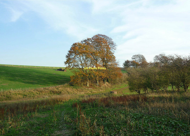 Photo 6"x4" Field margins and banks East Ilsley c2011