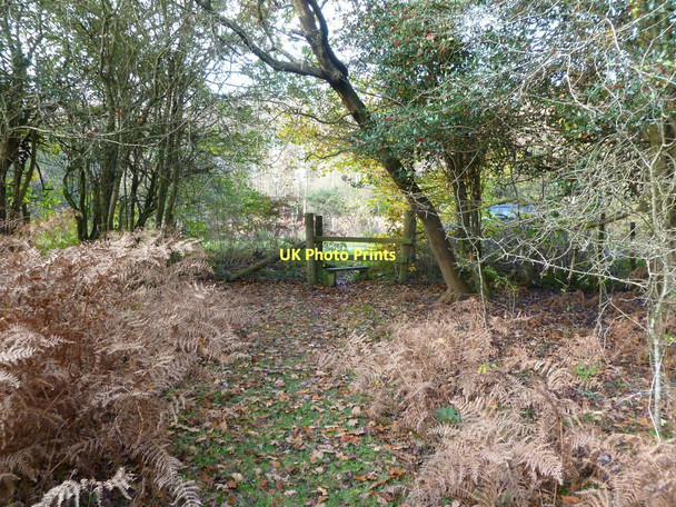 Photo 6"x4" Lyndhurst, stile Clayhill\/SU3007 c2011