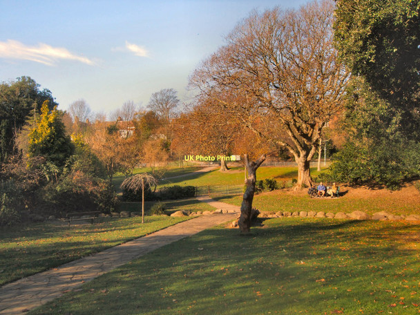 Photo 6"x4" Garden area in Queens Park Brighton\/TQ3106 c2011