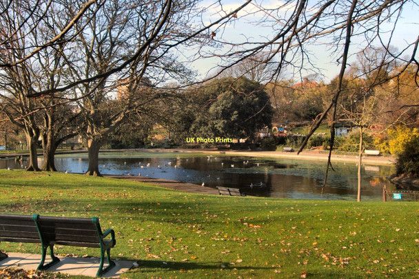 Photo 6"x4" Queens Park Pond Brighton\/TQ3106 c2011