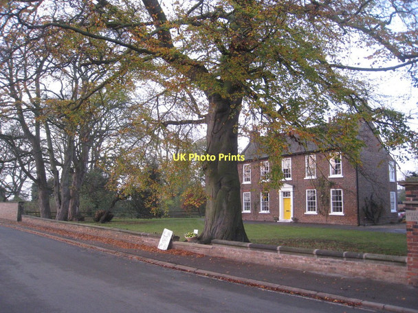 Photo 6"x4" Reedness Hall Reedness c2011
