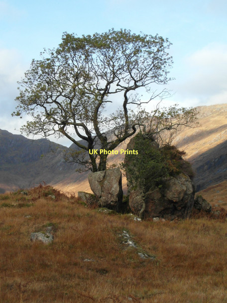 Photo 6"x4" Split rock, Glen Tarbert Inversanda c2011