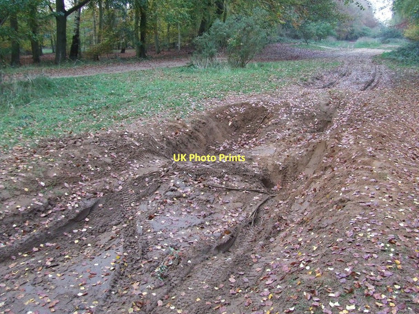 Photo 6"x4" Deep Ruts Icklingham c2011