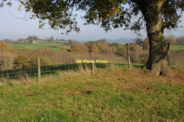 Photo 6"x4" Farmland near Pen-yr-Heol Pen-yr-heol\/SO4311 c2011