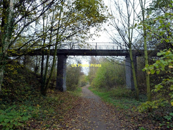 Photo 6"x4" Footbridge on the Trans Pennine Trail Doncaster c2011