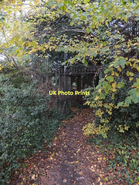Photo 6"x4" Old gateway into the garden of Gras Lawn Exeter c2011