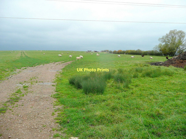 Photo 6"x4" Sheep pasture at The Heald Cleeve\/SO7212 c2011