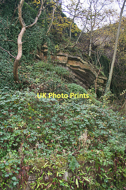 Photo 6"x4" Sandstone Strata Dean\/NT2474 c2011