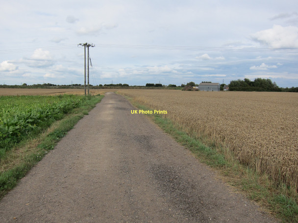 Photo 6"x4" Sealodes Road Soham Cotes c2011