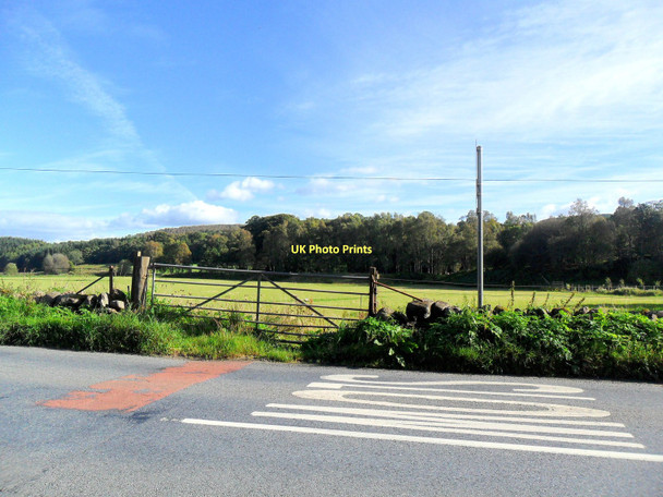 Photo 6"x4" Field gate, Grandtully Grandtully c2011