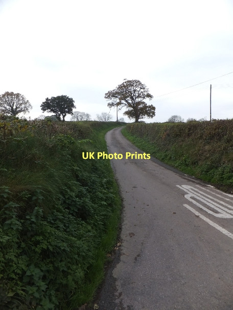 Photo 6"x4" The road to Bury Barton from A377 Lapford c2011