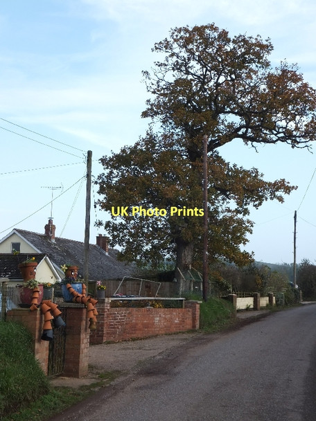 Photo 6"x4" Minor road passing Rudge Cottages Middlecott\/SS7507 c2011