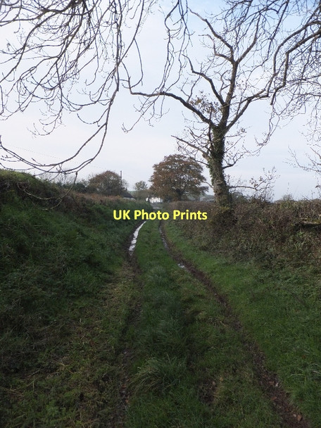 Photo 6"x4" Back Lane (restricted byway) with Rudge Rew in the distance Middlecott\/SS7507 c2011