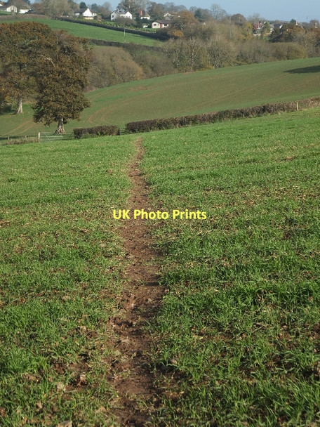 Photo 6"x4" The Two Moors Way crossing a field Weeke\/SS7606 c2011