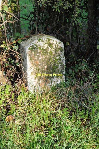 Photo 6"x4" Milestone at Dingestow Dingestow c2011