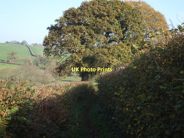 Photo 6"x4" Green lane, the route of the Two Moors Way Weeke\/SS7606 c2011