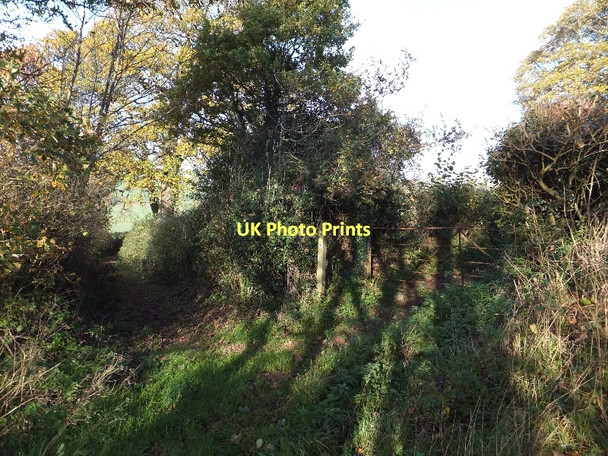 Photo 6"x4" Junction of green lanes Weeke\/SS7606 c2011