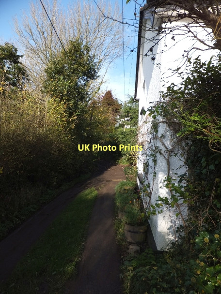Photo 6"x4" Woodgate on the Two Moors Way Weeke\/SS7606 c2011