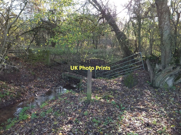 Photo 6"x4" Footbridge for Two Moors Way Weeke\/SS7606 c2011