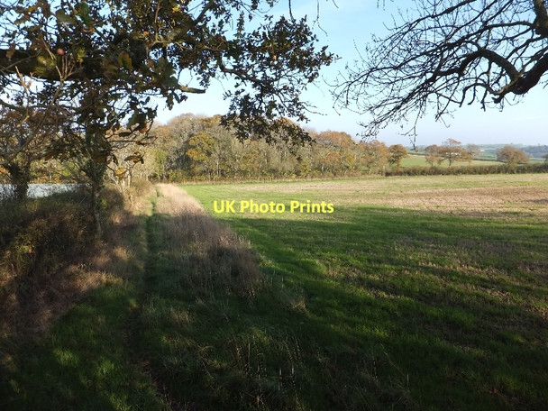 Photo 6"x4" Two Moors Way in the long grass at the edge of a field Morchard Road c2011
