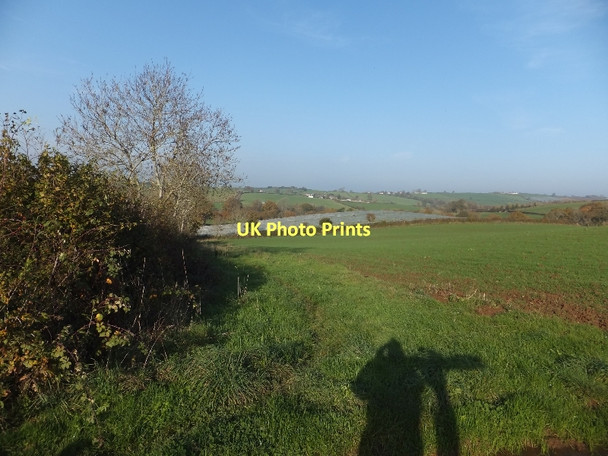 Photo 6"x4" Fields to north of Shobrooke Lane Morchard Road c2011
