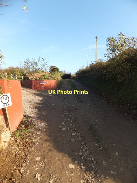 Photo 6"x4" Shobrooke Lane Morchard Road c2011