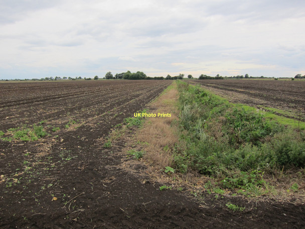 Photo 6"x4" Ditch from Mill Drain Soham Cotes c2011