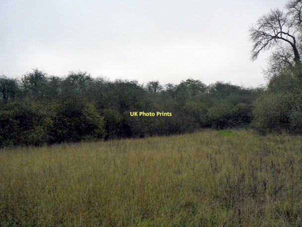 Photo 6"x4" Pond Bay, Normanton Normanton-on-the-Wolds c2011