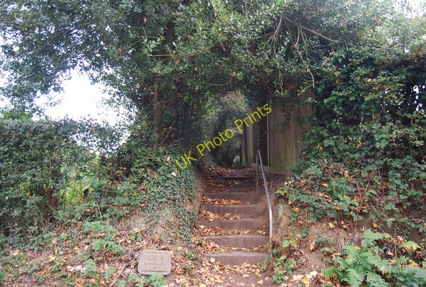 Photo 6"x4" Footpath off Nellington Rd Denny Bottom c2009