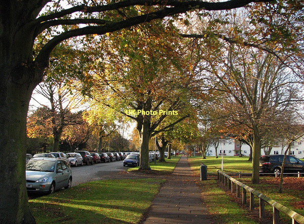 Photo 6"x4" November afternoon in Davy Road Cambridge\/TL4658 c2011