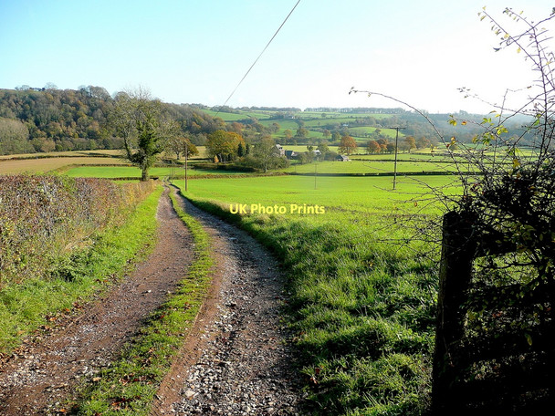 Photo 6"x4" Track to Trevonny Norton\/SO4420 c2011