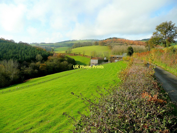 Photo 6"x4" Lane past Brook House Farm November 2011 Walson c2011