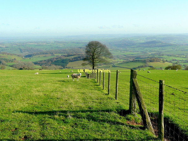 Photo 6"x4" View east from Edmund's Tump Cross Ash c2011