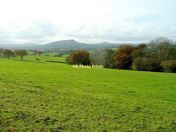 Photo 6"x4" Monmouthshire grassland Llangattock Lingoed c2011
