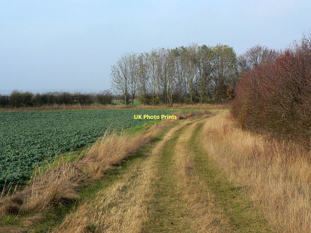 Photo 6"x4" Footpath from Kinoulton Grange Hickling\/SK6929 c2011