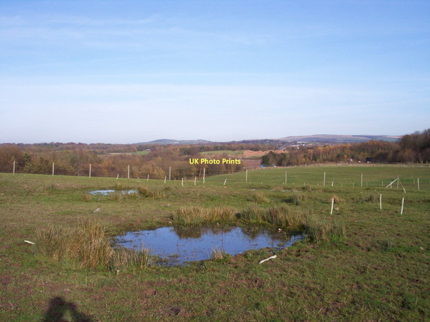 Photo 6"x4" Mini pond at Rigby House Farm Adlington\/SD6013 c2011