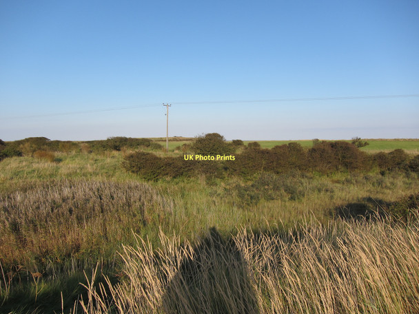 Photo 6"x4" Canal Hedge, Spurn Kilnsea c2011