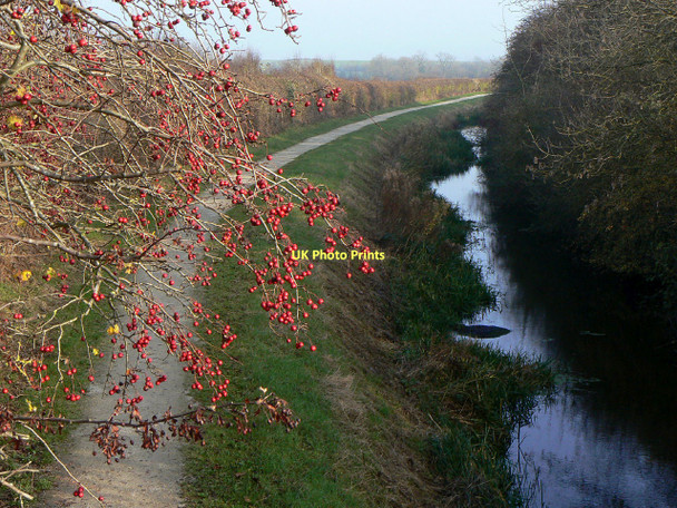 Photo 6"x4" Grantham Canal Hickling\/SK6929 c2011